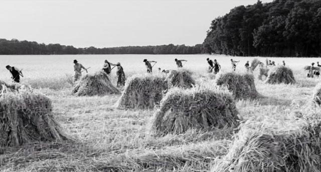 Hay!